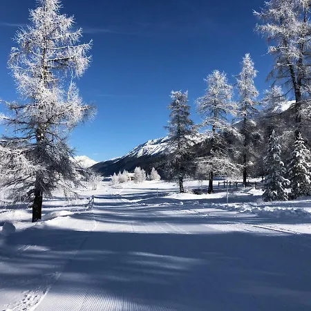 Appartement Ches'arsa 2